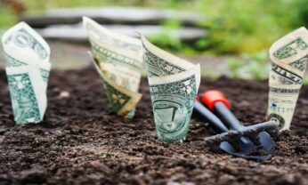 Renda Fixa: o que é, como funciona e como investir?
